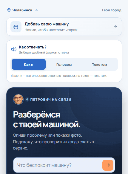 Реальный экран диалога в мини-приложении Петрович